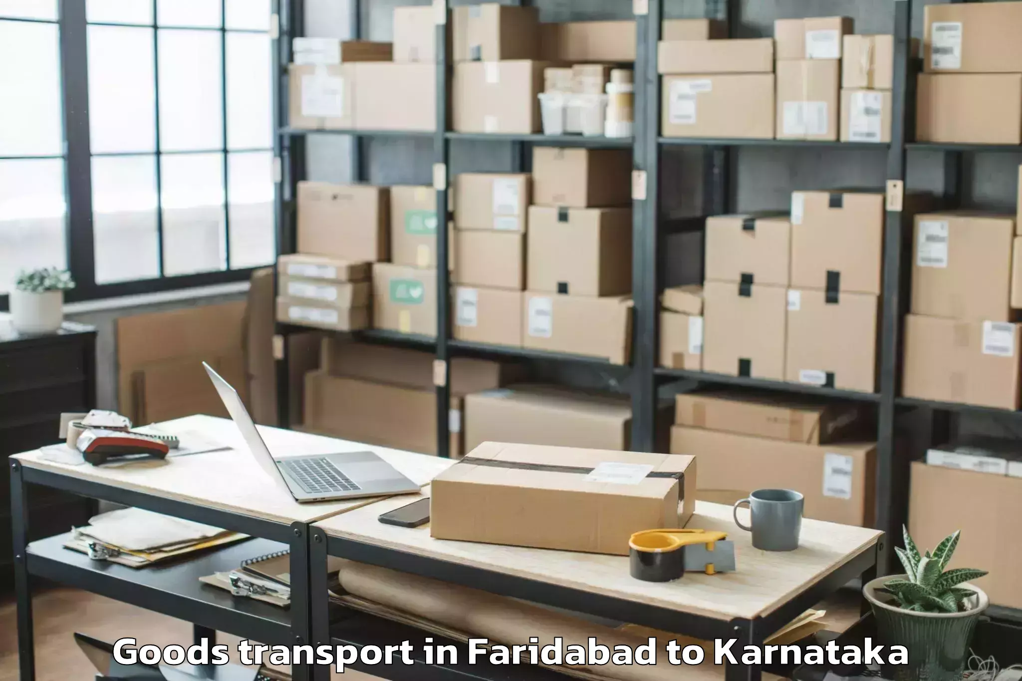 Trusted Faridabad to Gauribidanur Goods Transport